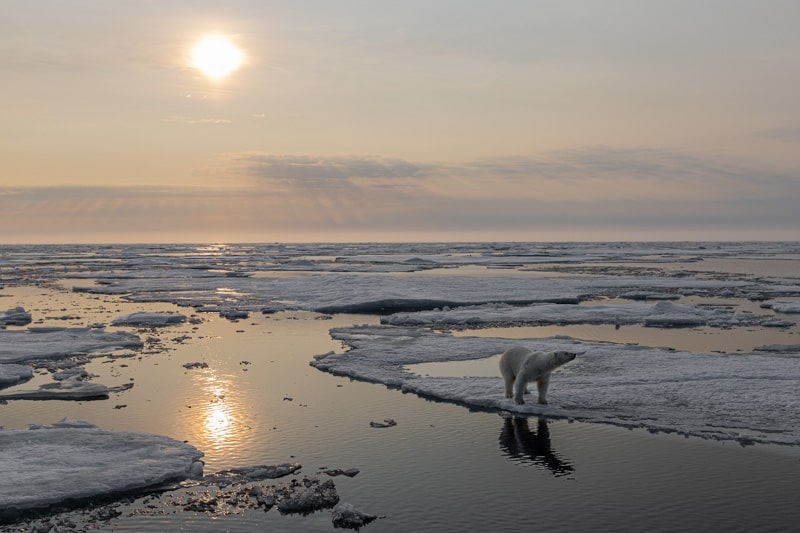 Svalbard Expedition 2027 – Exclusive Photo Mentorship & Reservation